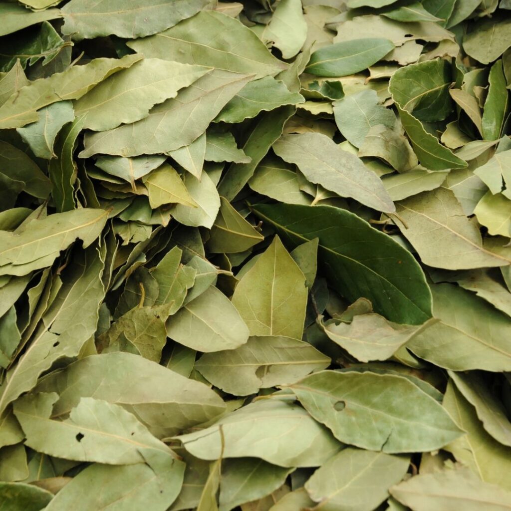 pedacitos de laurel, incienso y aguamarina.